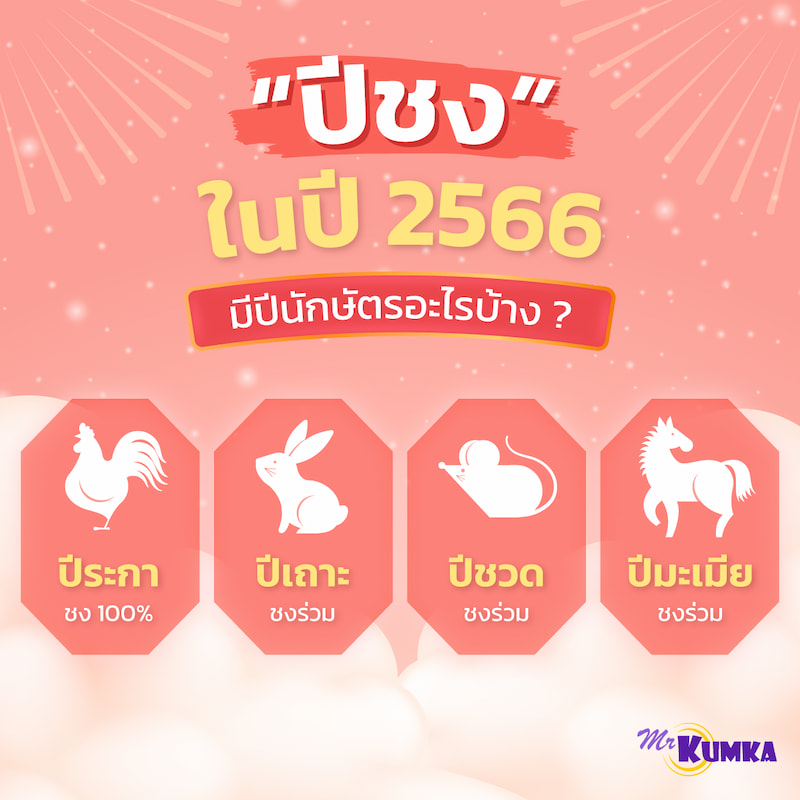 ทำความเข้าใจ เช็กดวง ปีชง ใน ปี 2566