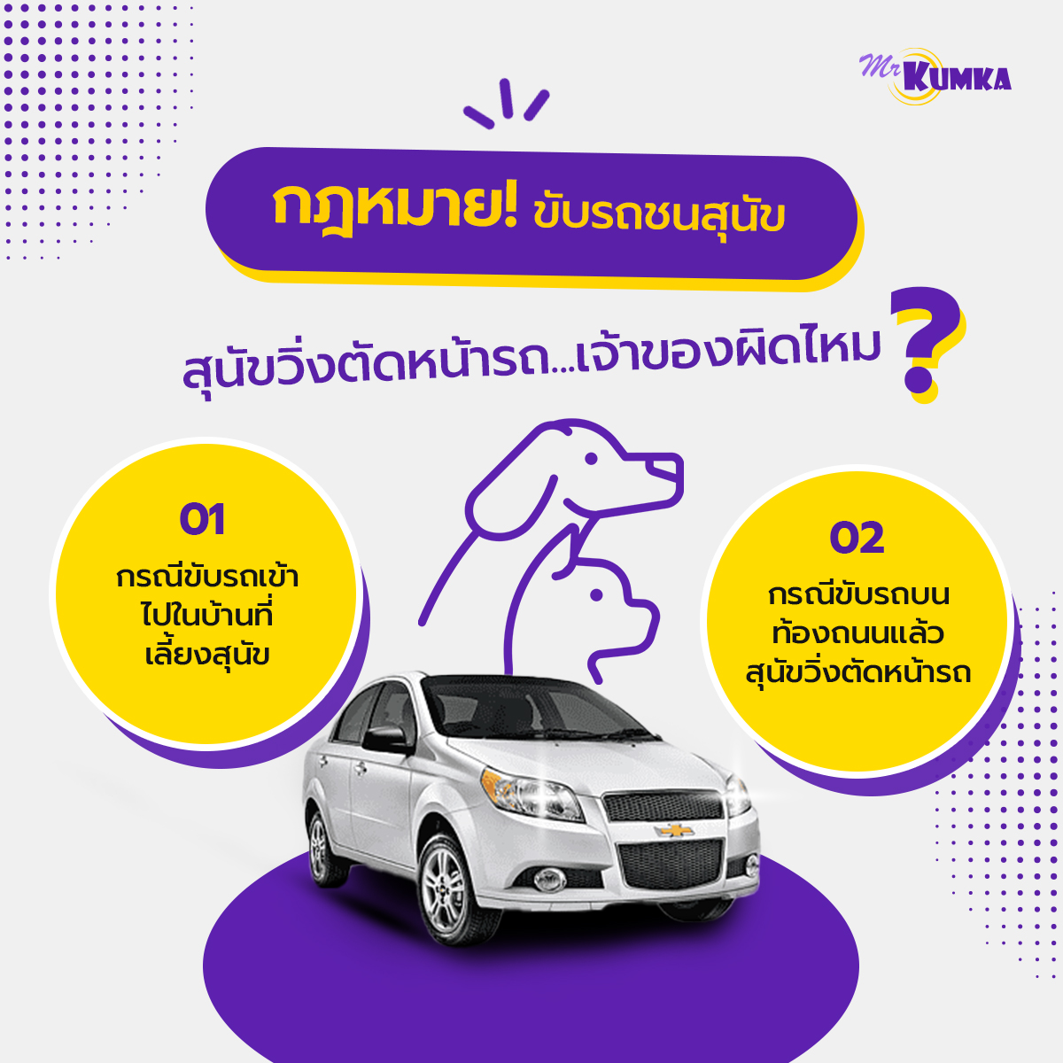 ต้องทำอย่างไร เมื่อขับรถชนหมา